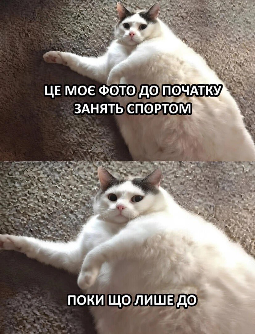 Результат стабільний🧐