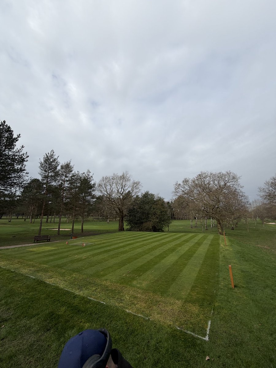 Niall Collins tweet media