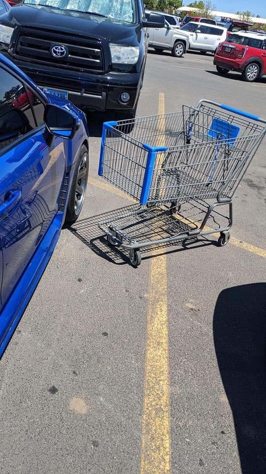 Trevor Donovan tweet media