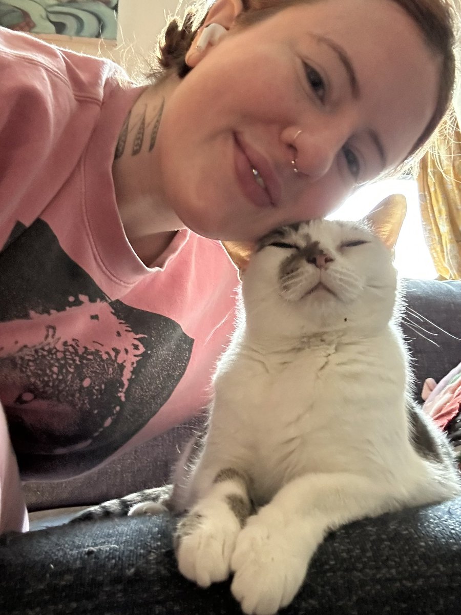 Joey Nova NYC 🍇 new account tweet media