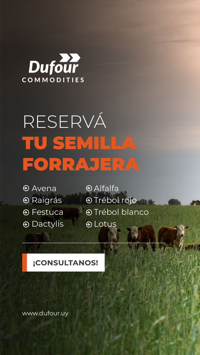 Dufour Commodities tweet media