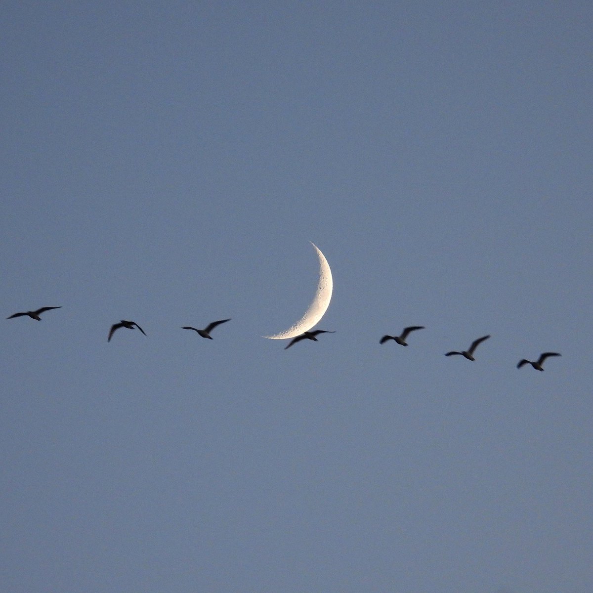 Epiphany tweet media