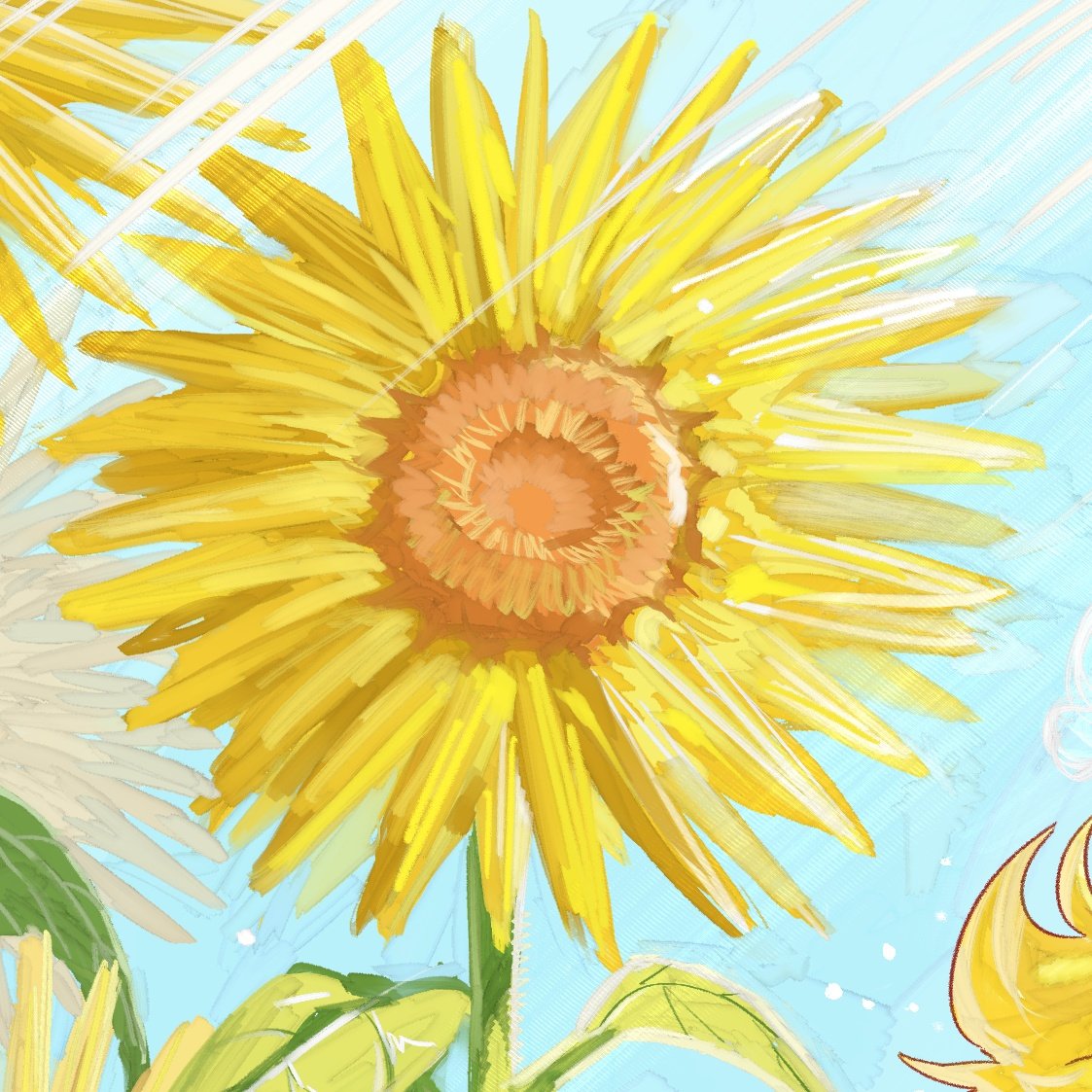 JAY HuH🐬 tweet media