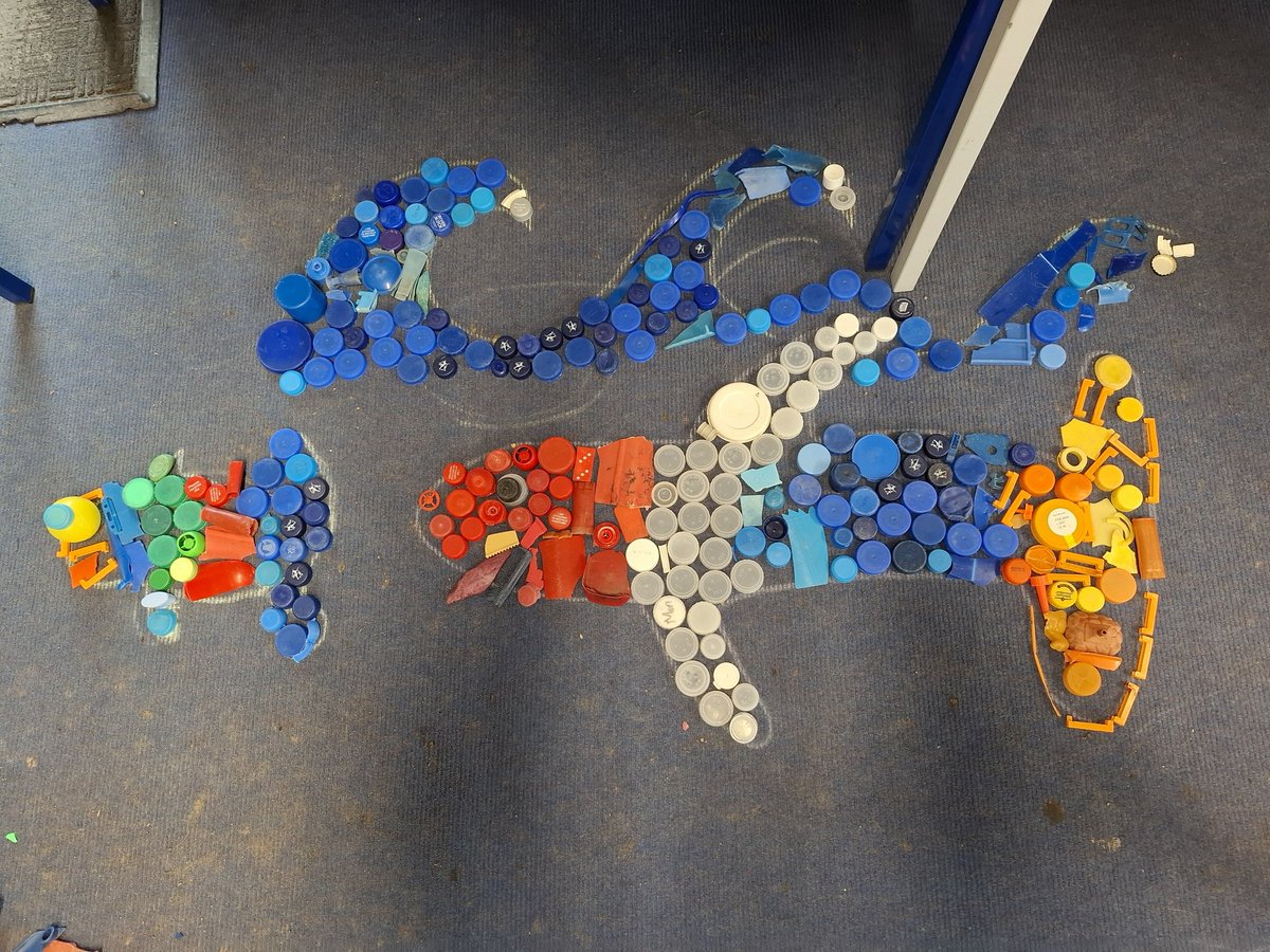 Tim Pugh tweet media