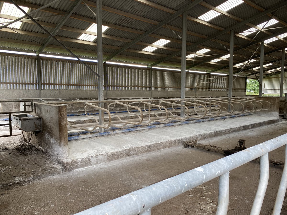 CAP Network Ireland tweet media