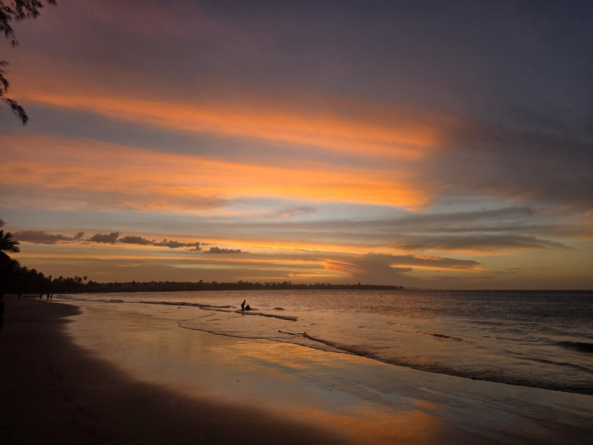 Erin Nicole Lundquist tweet media