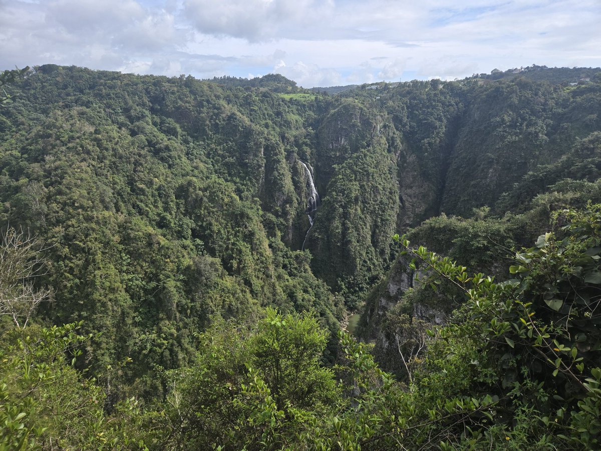 Erin Nicole Lundquist tweet media