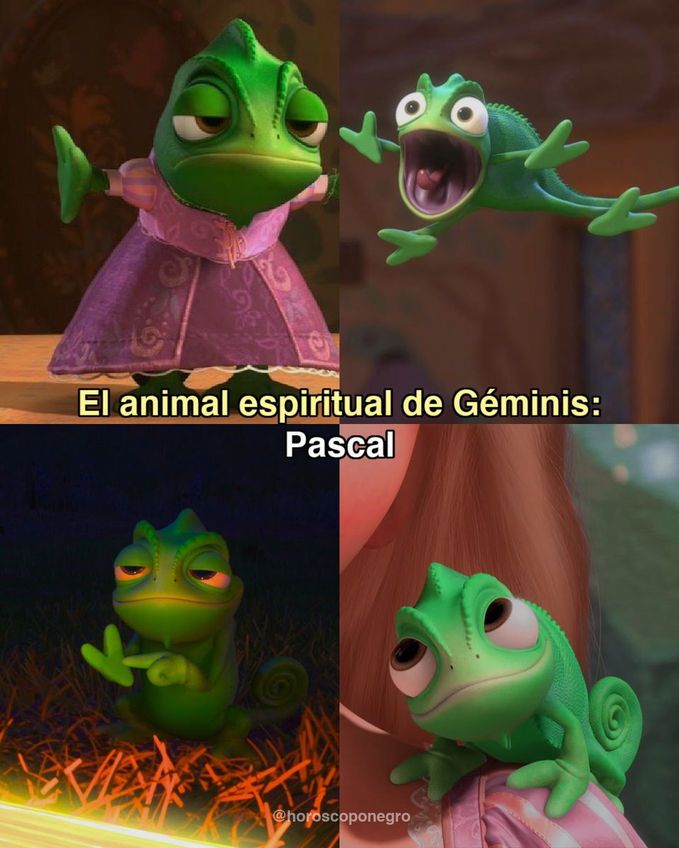 El animal espiritual de Géminis ✨🔮