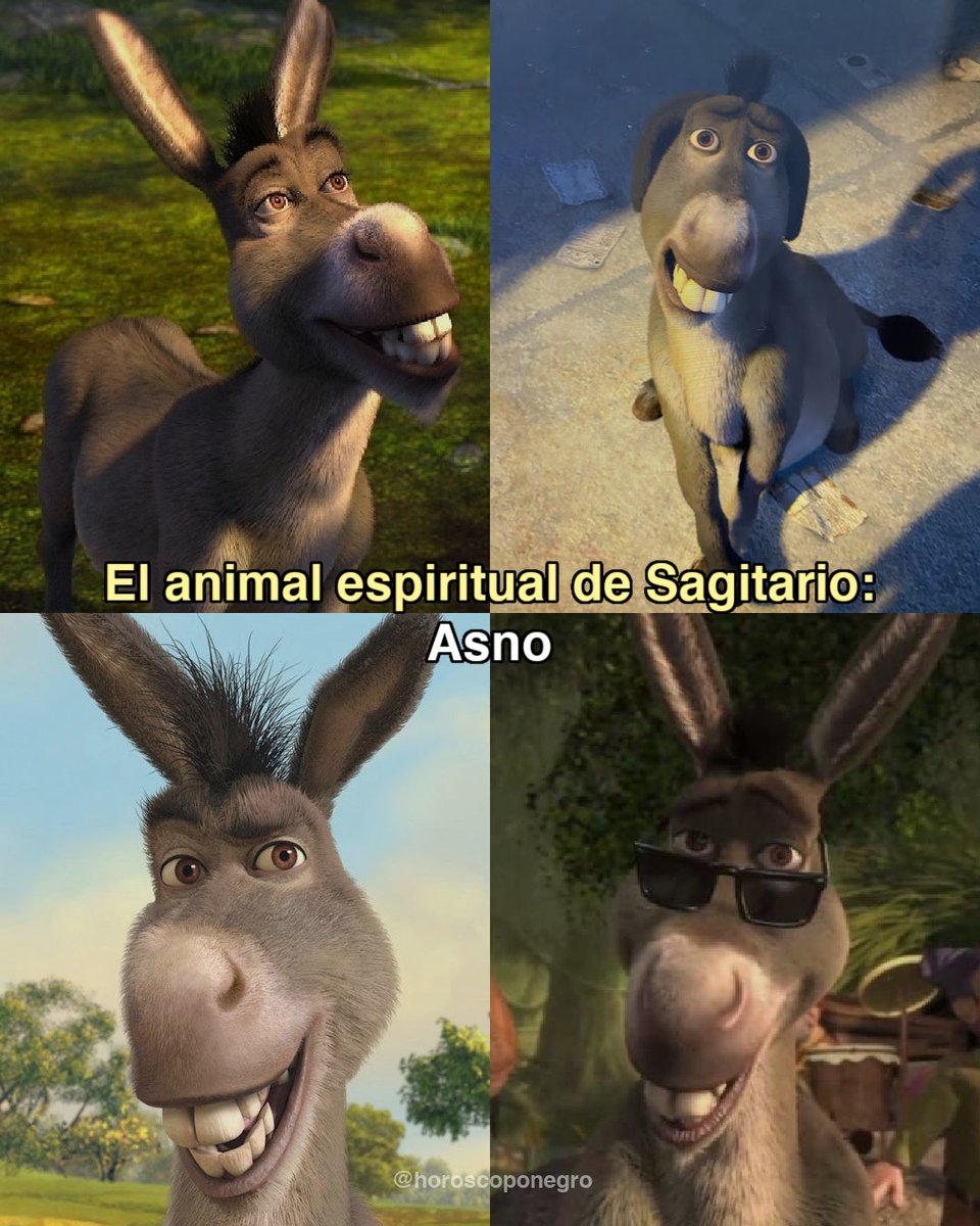 El animal espiritual de Sagitario ✨🔮