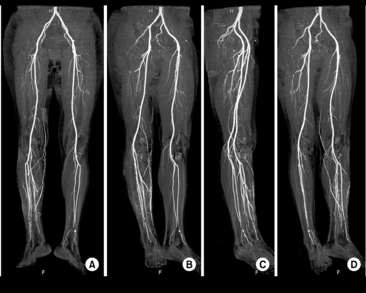 RadiconX tweet media
