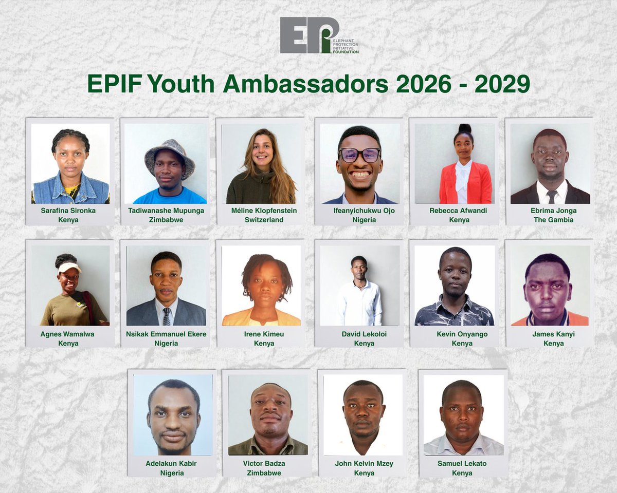EkereDo's tweet photo. I'm delighted to share that I've been selected as an Elephant Protection Initiative Foundation Youth Ambassador in the inaugural cohort to amplify wildlife conservation. #elephants @EPIAfrica https://t.co/mqiCBbUaeD https://t.co/vk8VjSMOg2