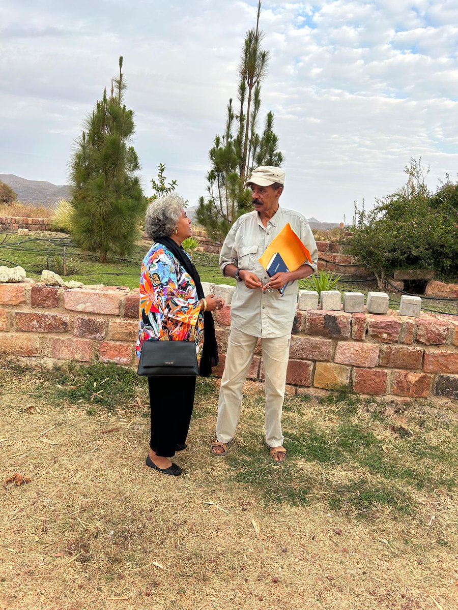 Amb. Sophia Tesfamariam tweet media