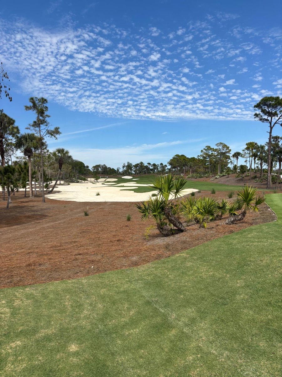 Biff Roberts tweet media