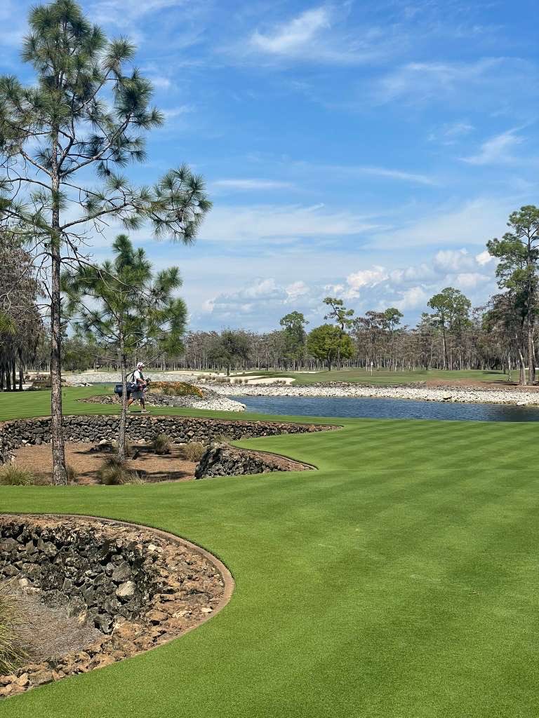 Biff Roberts tweet media