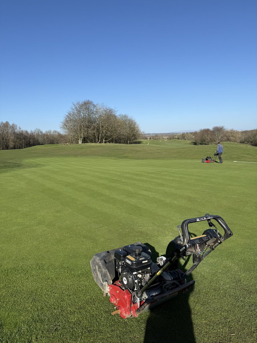 AMGolfGreens's tweet photo. Lovely day for hand mowing greens ⛳️ https://t.co/KwAuYABl90