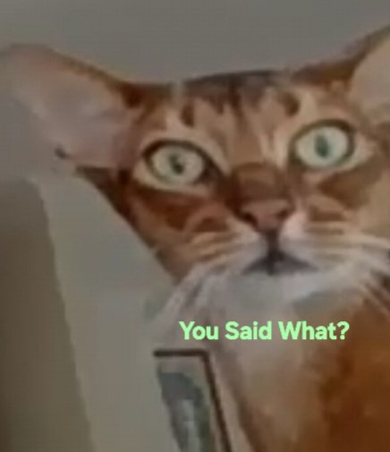 DivanaAyhea's tweet image. #Helpful?
[" #Couldbe, if #spokesperson wasnt casting #spells on viewers by saying you, yours, #needs #better #sleeping #position #himself to #activate Emotional Intelligence to #talk to #viewers by #replacing all those yours w "One," #deleting #babylonian #spell #casting ~QH]