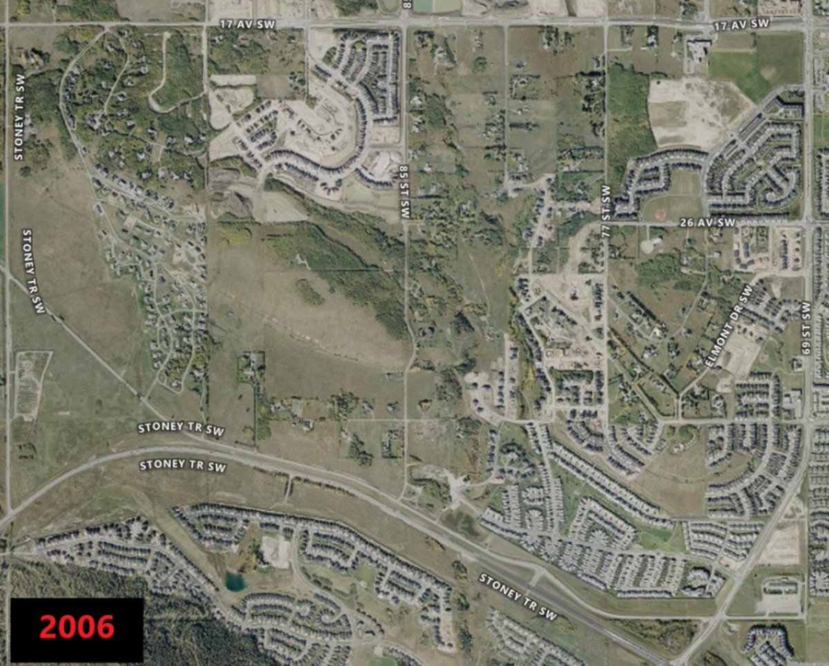 Walking Calgary tweet media