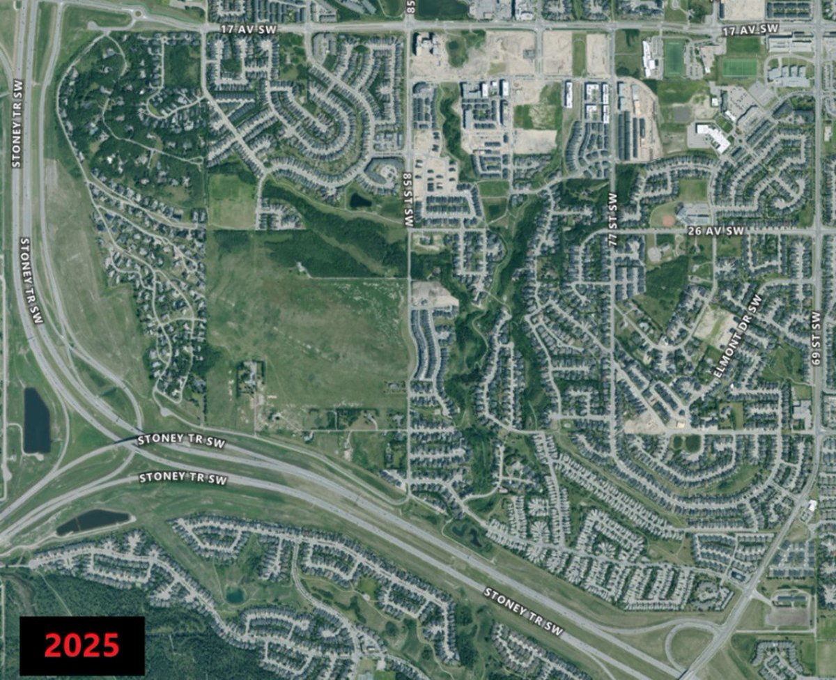 Walking Calgary tweet media