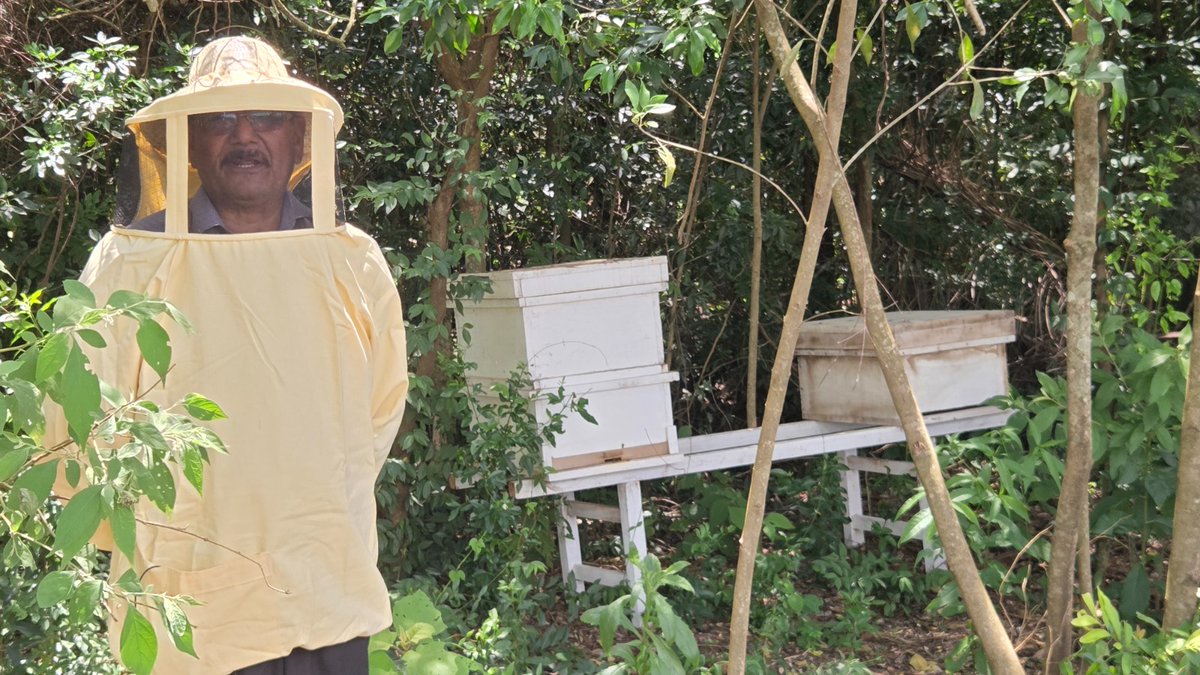 Instituto Forestal Nacional del Paraguay tweet media