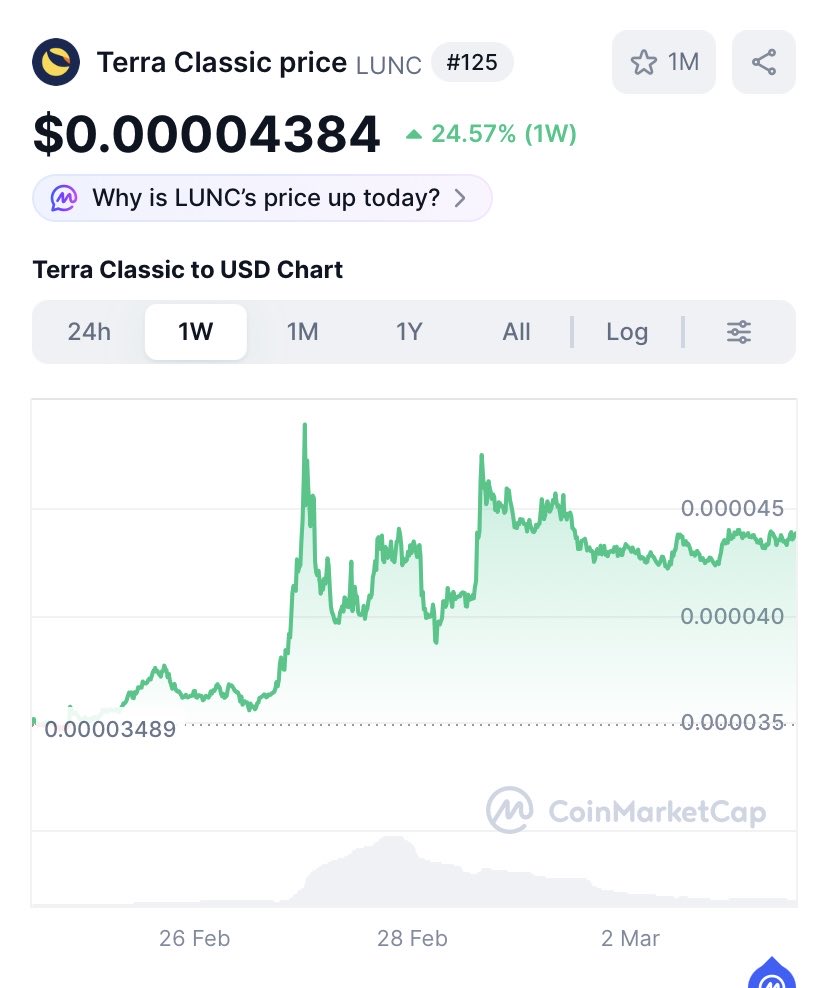 Mr. Diamondhandz1💎 tweet media