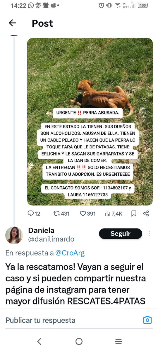 patri_carolyn's tweet photo. CASO ABERRANTE ! 
POR SUERTE YA FUE RESCATADA 🙏🏻♥️
Lean esto, todo lo que le hacían a esta perrita, además de abusar de ella ! La rescató la gente de RESCATES 4 PATAS
Quiero destacar al Dr. Chumbita, abogado de FENIX que le informé de este caso vía IG y se interesó inmediatamente https://t.co/LveJRQbBGy