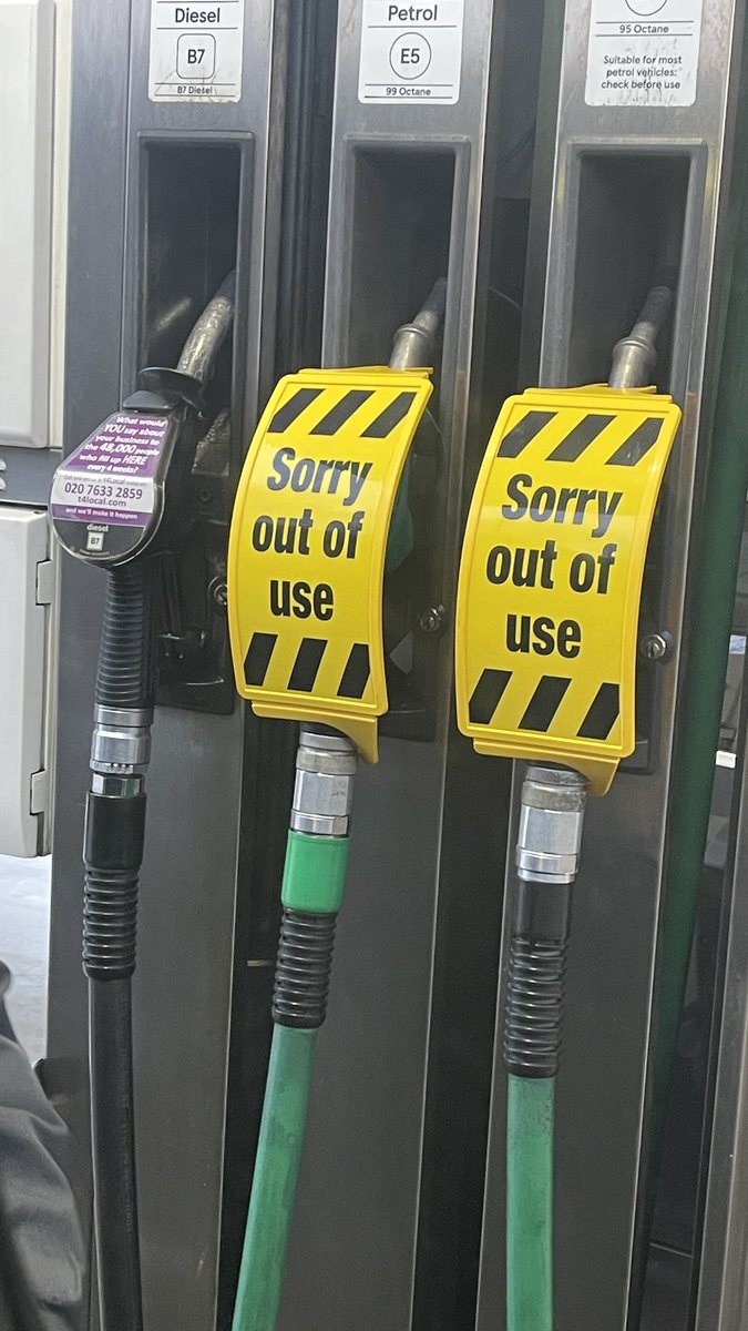 Sarah Go Green💚 tweet media