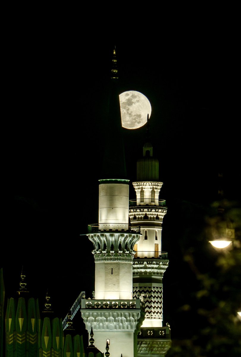 هيئة تطوير منطقة المدينة tweet media