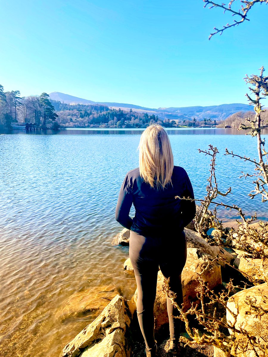 Catstycam.com tweet media