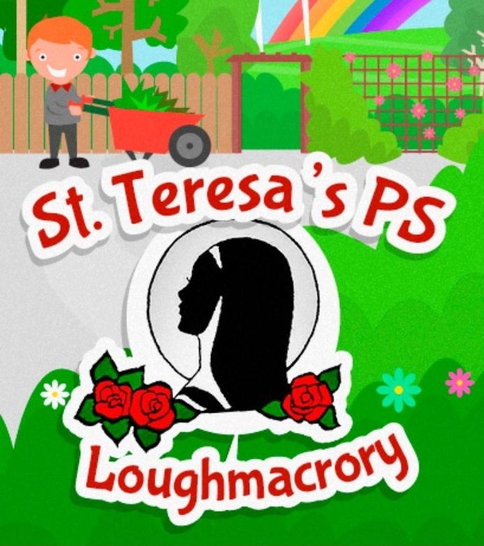 Tyrone GAA mBunscol tweet media