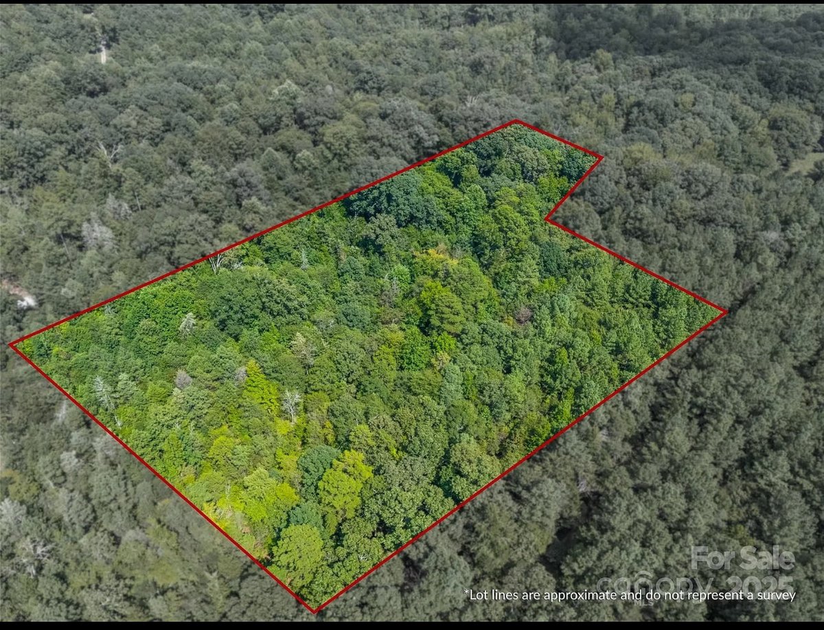 Nicholas Staley tweet media