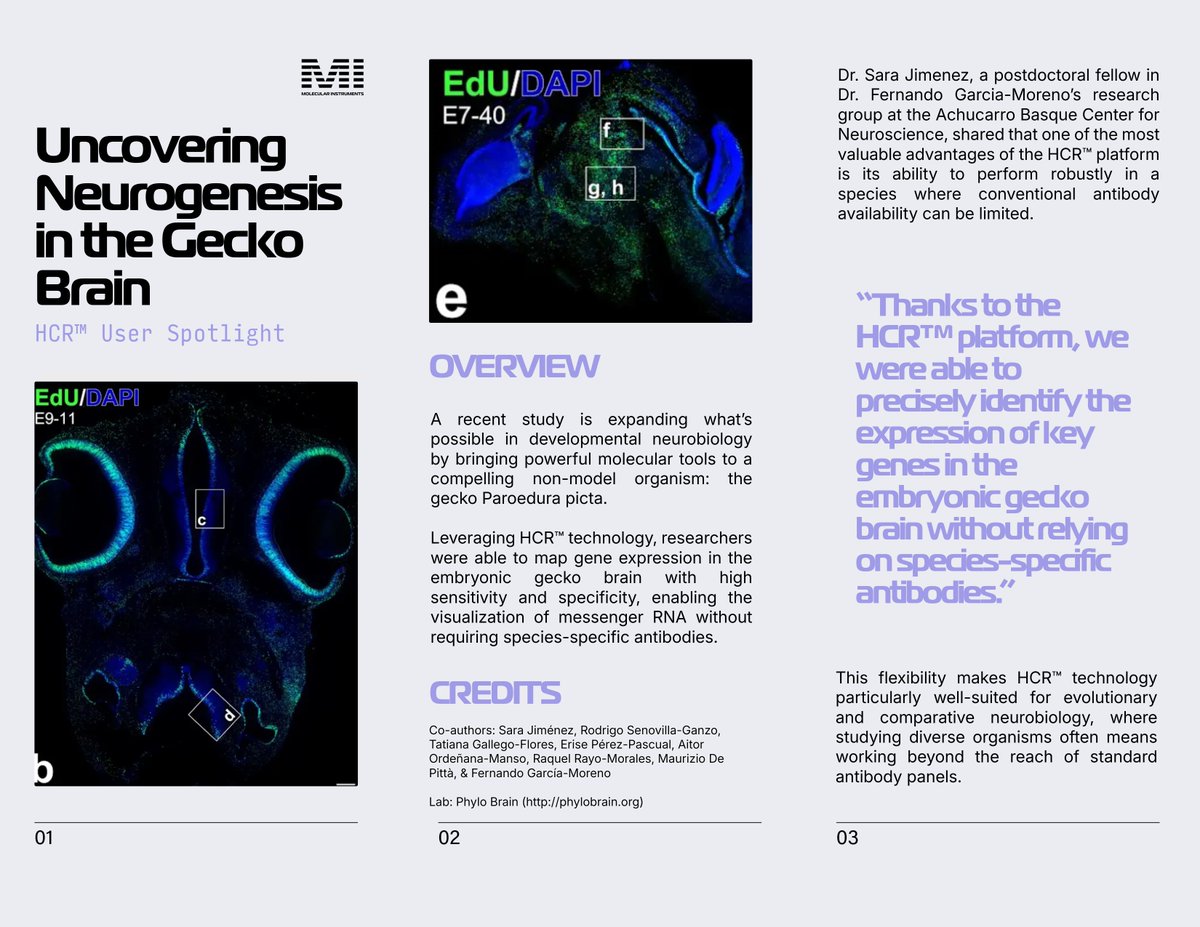 Molecular Instruments tweet media