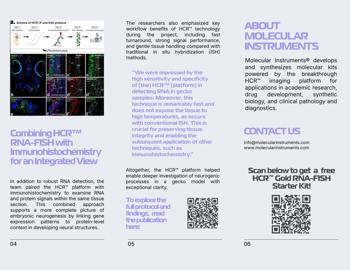 Molecular Instruments tweet media