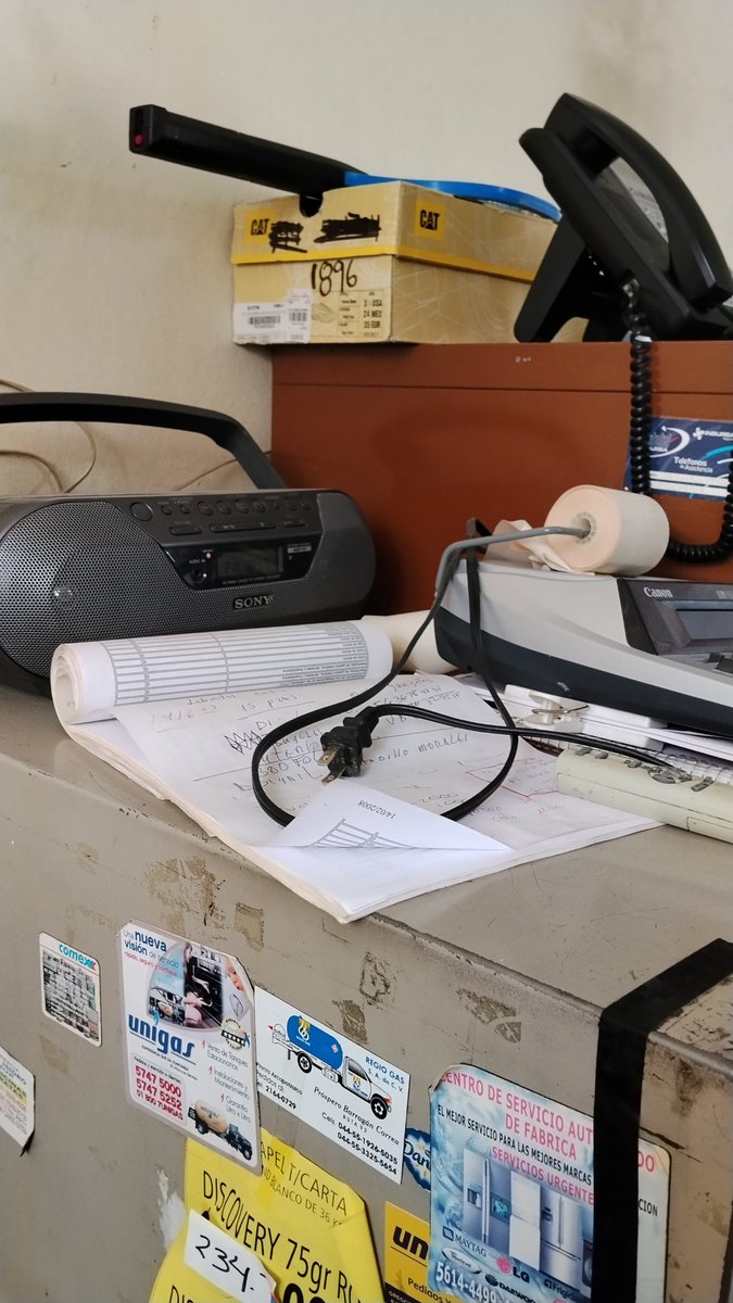 Ady Rosas 💚 tweet media