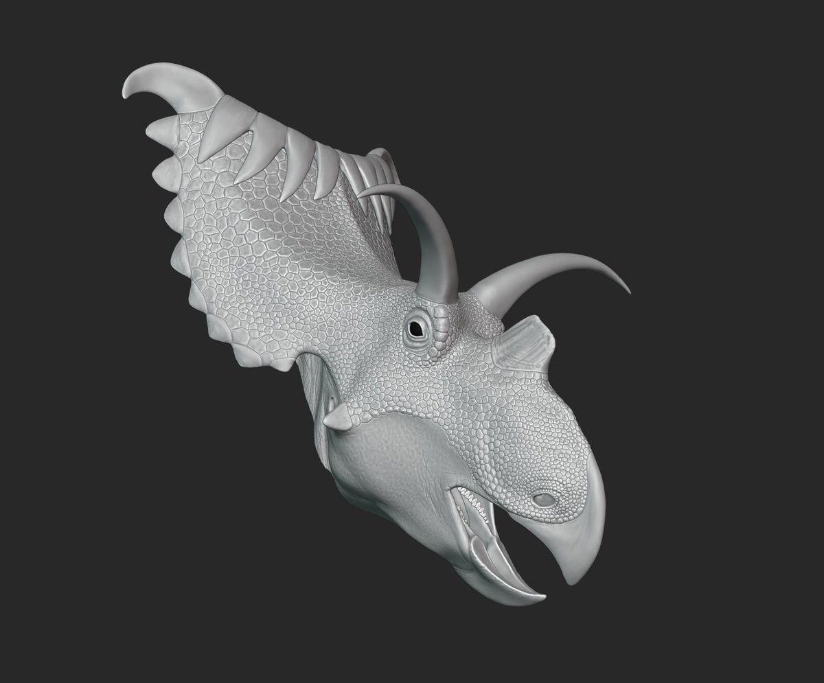 XtinctDesign tweet media