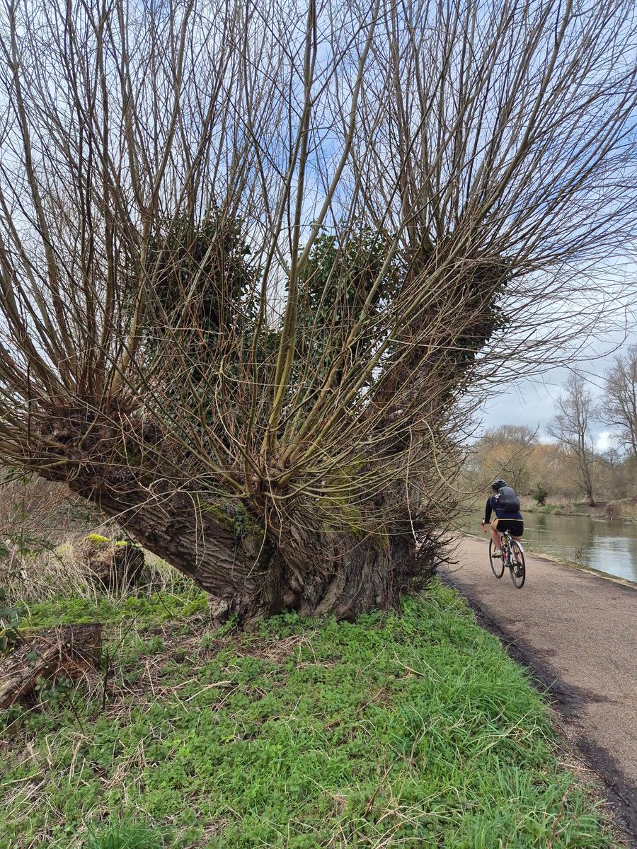 Thames Path National Trail tweet media