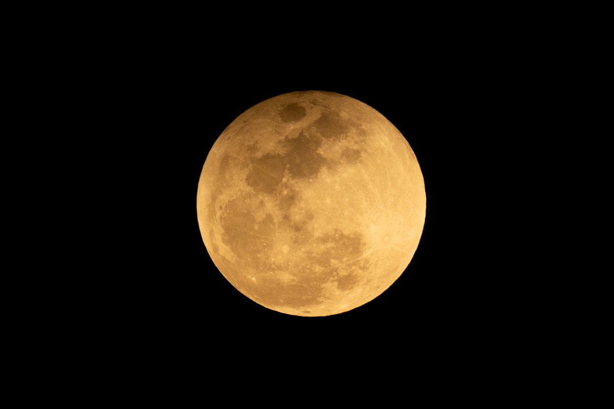 नील सरोवर भवेश Neel Sarovar Bhavesh 🇮🇳 tweet media