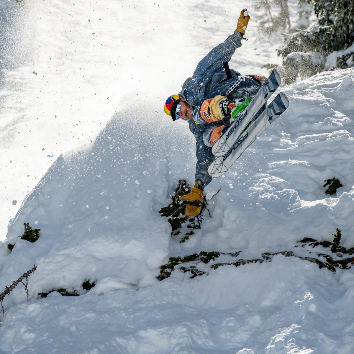 FREESKIER magazine tweet media