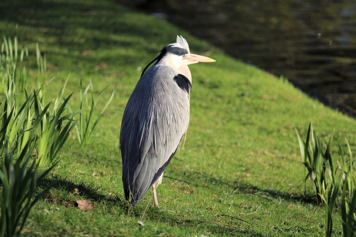 Epiphany tweet media