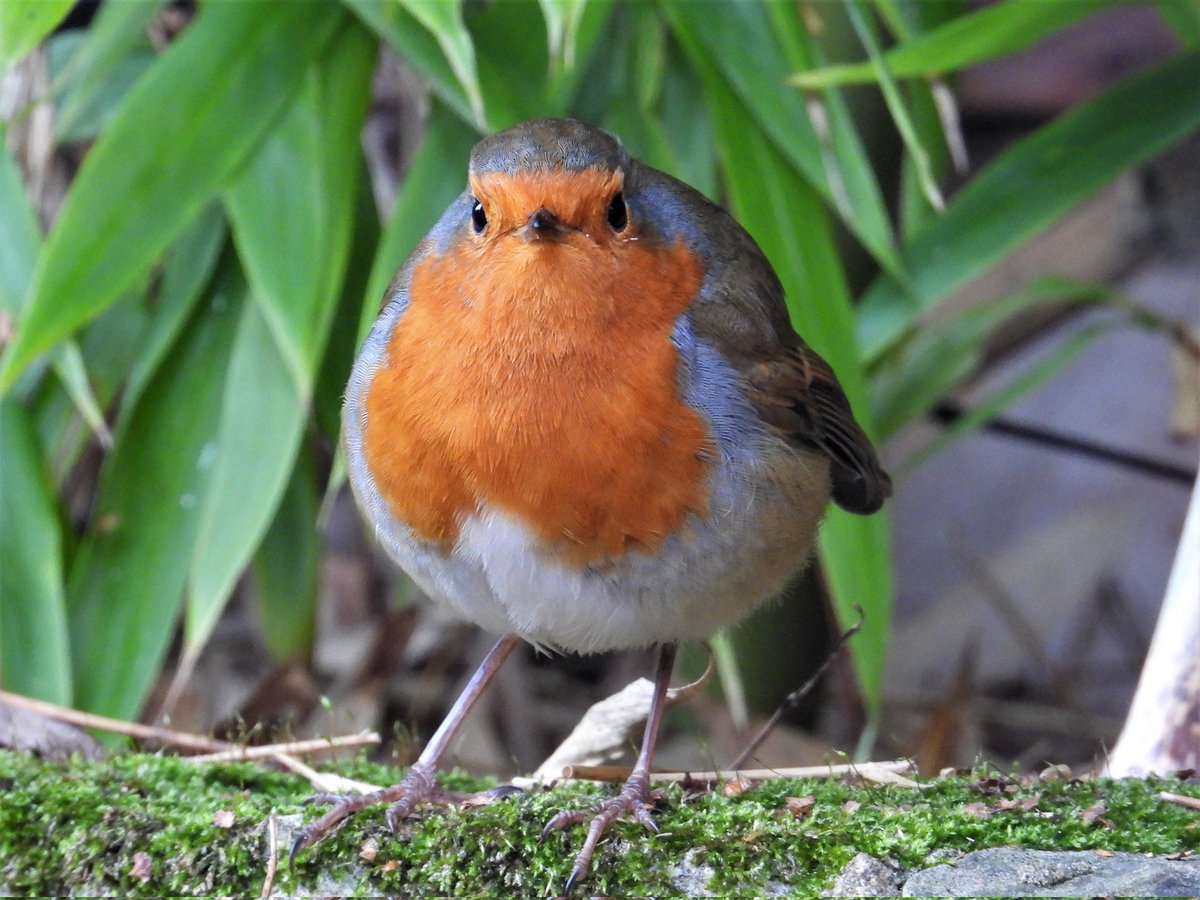 Epiphany tweet media