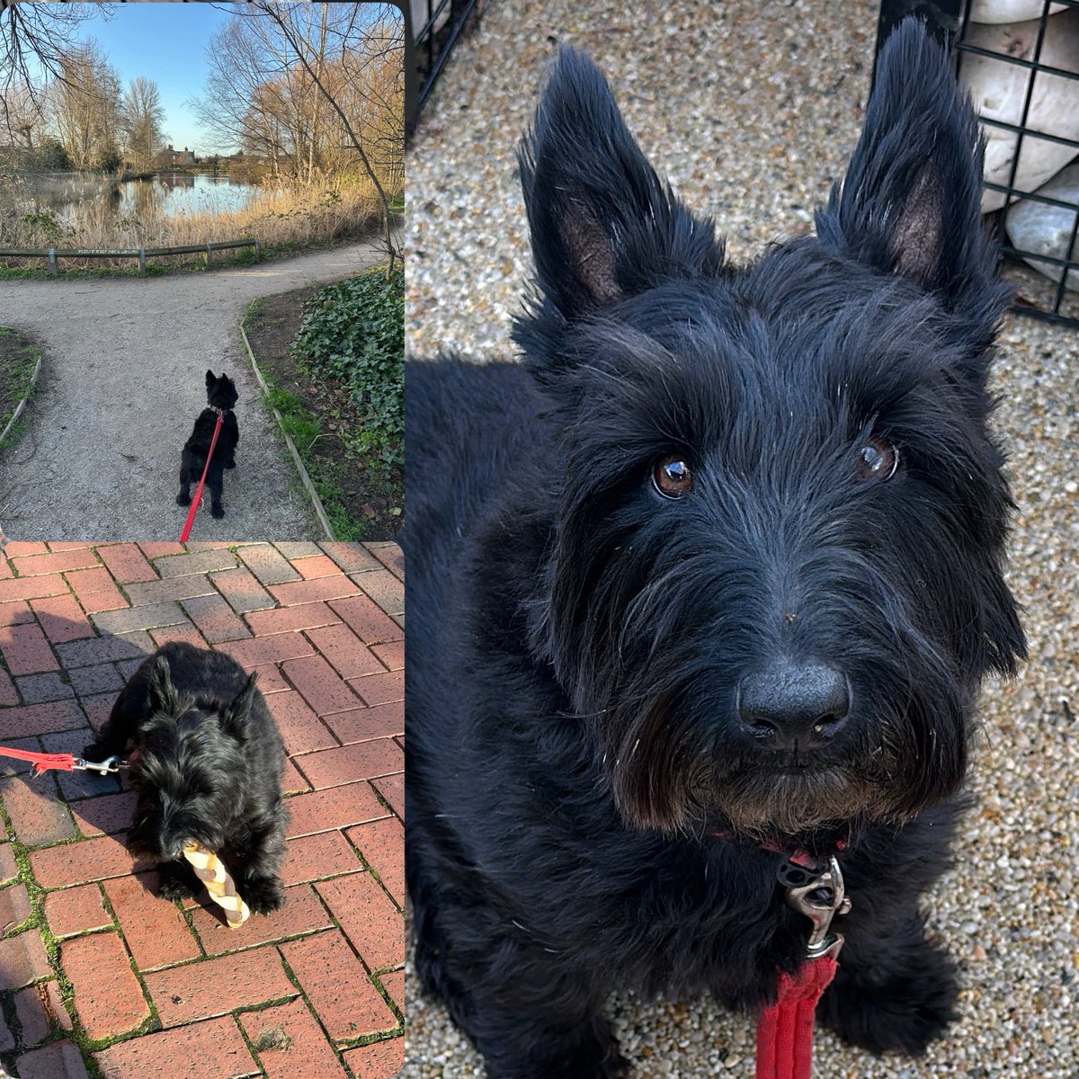 Barmsuk 🇬🇧🏴󠁧󠁢󠁥󠁮󠁧󠁿 tweet media