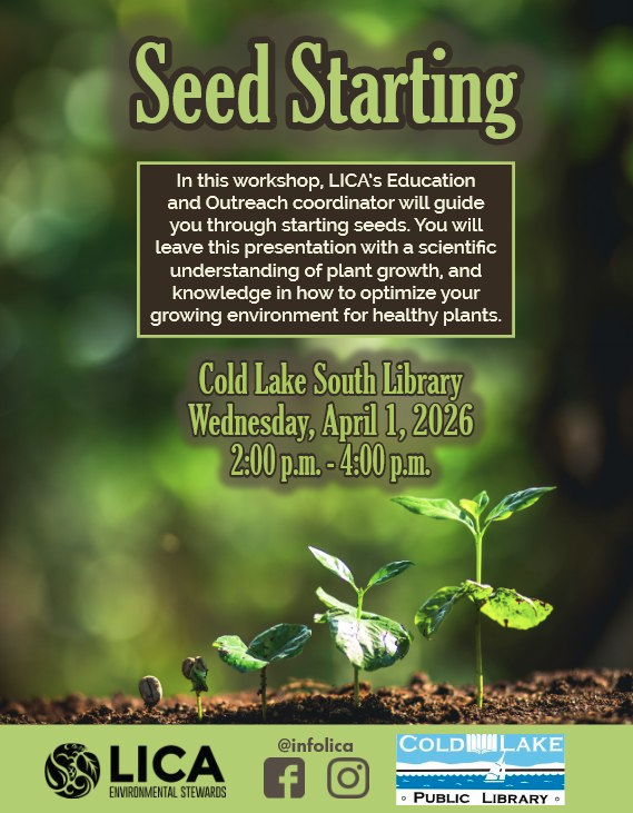 Cold Lake Library tweet media