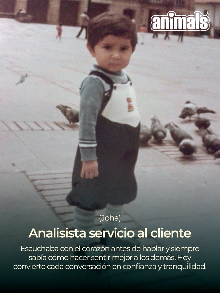Animal's® 🇨🇴| Todo Para tu Mascota tweet media