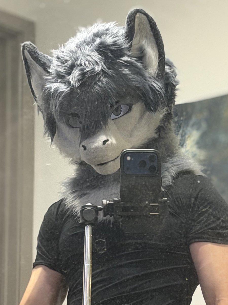 TrevyrDergo 🔜 TFF tweet media