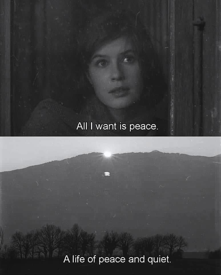 emmanu_elle_'s tweet photo. Krzysztof Kieslowski 

Three Colors: Red
1994 https://t.co/7MRGoKJ420