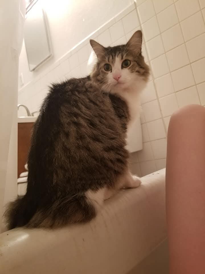 Miss Emily Rose tweet media