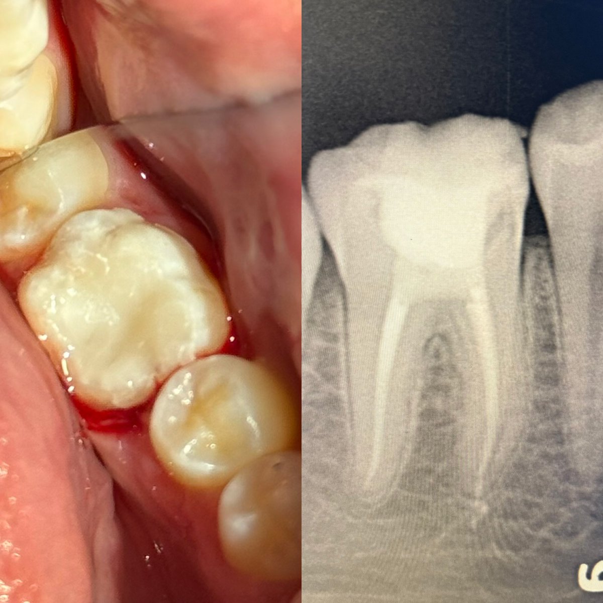 Abdulaziz Al-Habshan tweet media