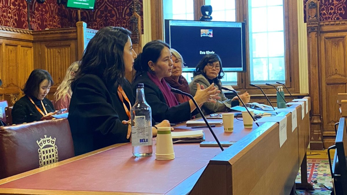 IBA's Human Rights Institute tweet media