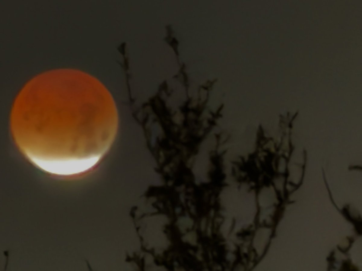 Bloodmoon from this morning got me thinking of <a href="/HorrorNightsORL/">Halloween Horror Nights</a>