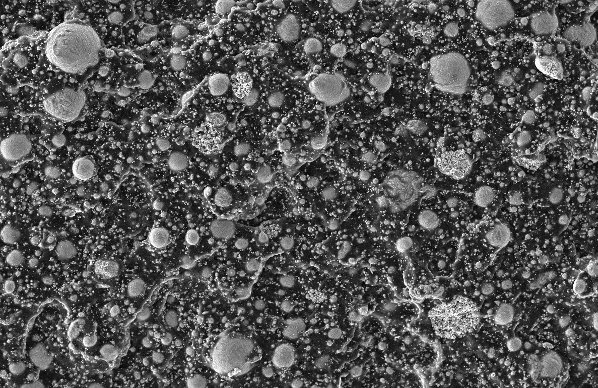 University of Washington tweet media