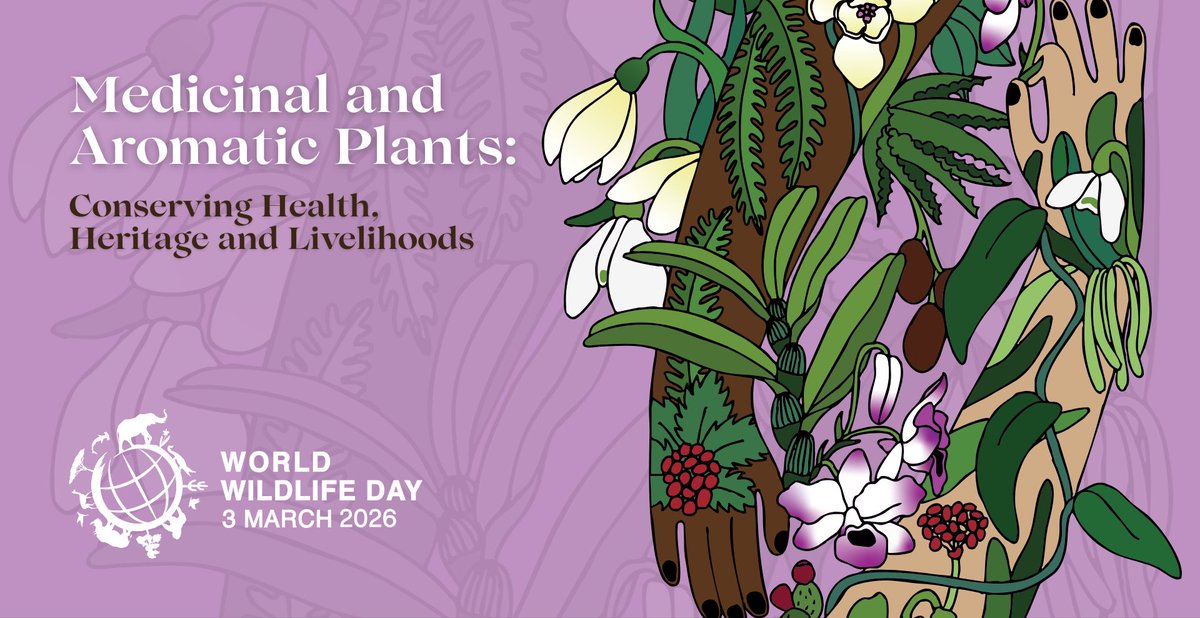 INCA ALBANIA tweet media